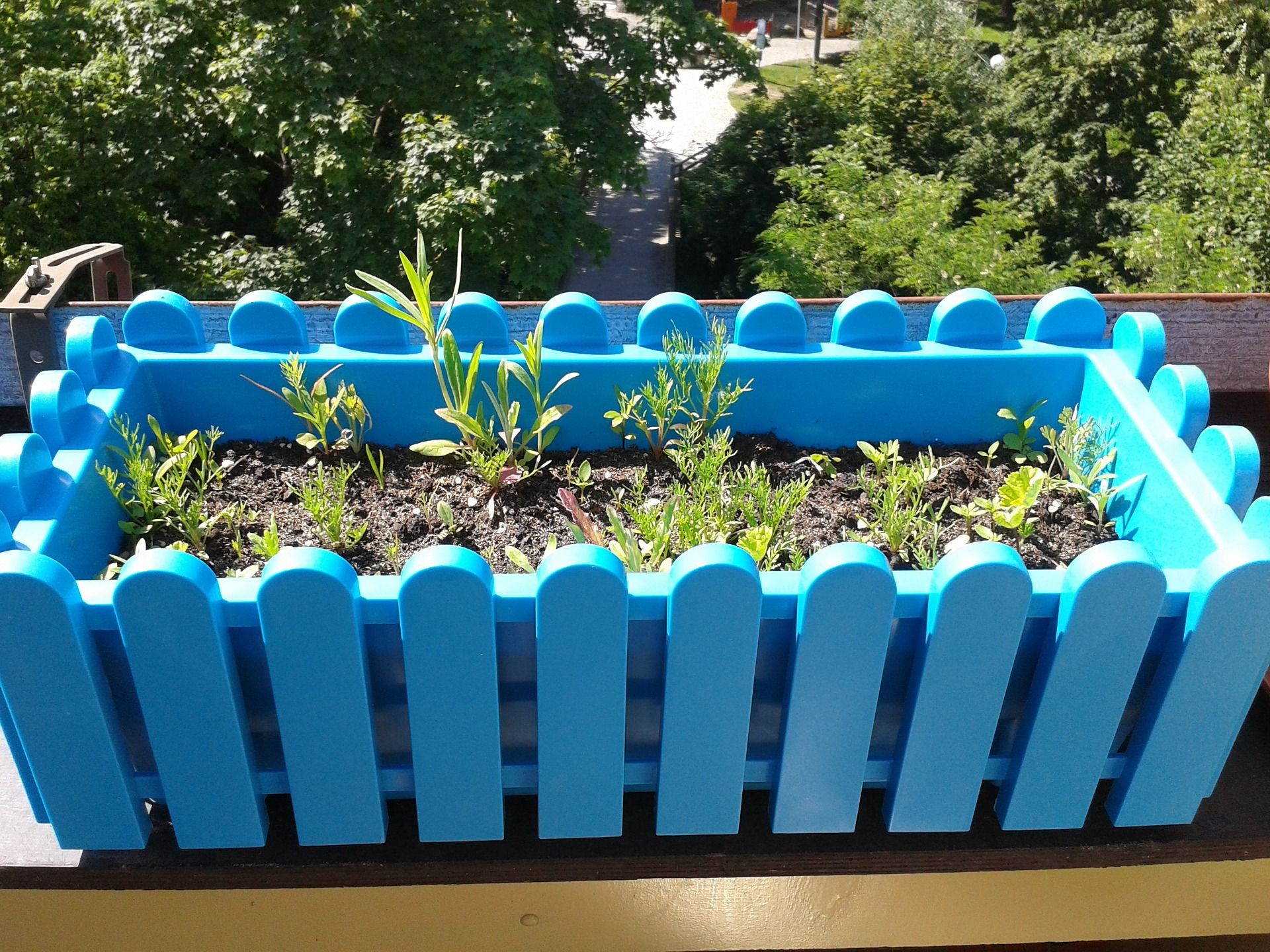 Herb Garden